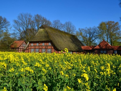 照片: Vielstedter Bauernhaus